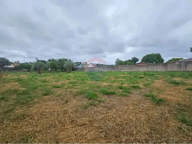 Imagem: Area de Terra, com 2.398M², Toda Murada