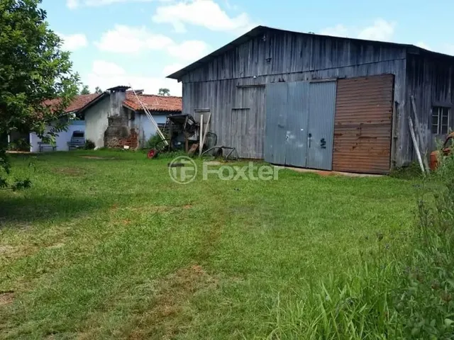 Imagem 13: Fazenda / Sítio / Chácara À Venda Estrada Lomba do Vadeco, Morada Gaúcha - Gravataí