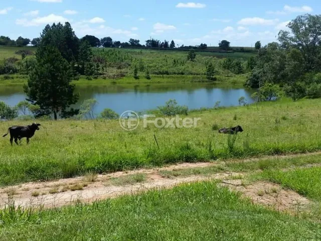 Imagem 7: Fazenda / Sítio / Chácara À Venda Estrada Lomba do Vadeco, Morada Gaúcha - Gravataí