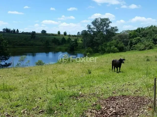 Imagem 6: Fazenda / Sítio / Chácara À Venda Estrada Lomba do Vadeco, Morada Gaúcha - Gravataí