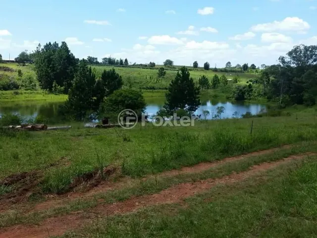 Imagem 14: Fazenda / Sítio / Chácara À Venda Estrada Lomba do Vadeco, Morada Gaúcha - Gravataí