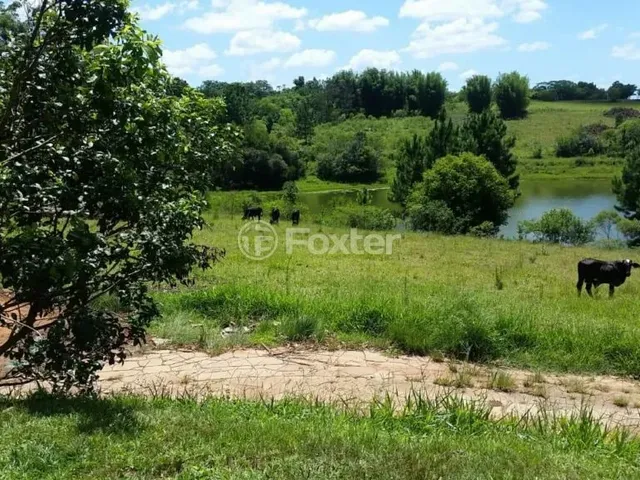 Imagem 11: Fazenda / Sítio / Chácara À Venda Estrada Lomba do Vadeco, Morada Gaúcha - Gravataí