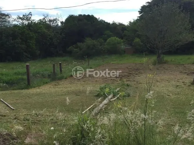 Imagem 5: Fazenda / Sítio / Chácara À Venda Estrada Lomba do Vadeco, Morada Gaúcha - Gravataí