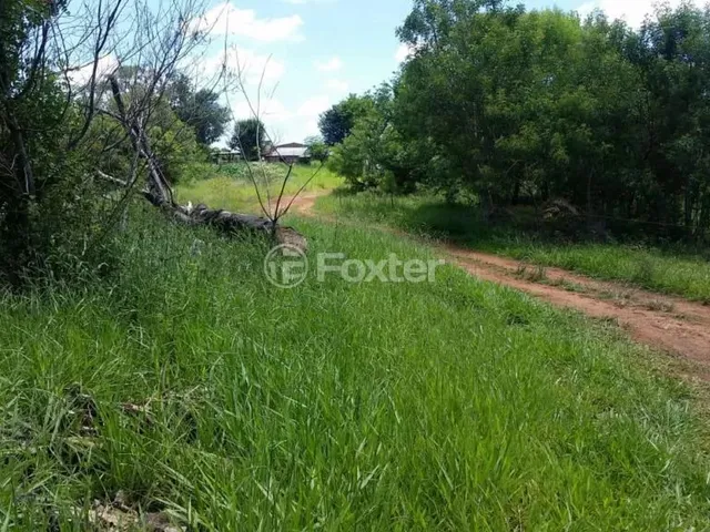 Imagem 10: Fazenda / Sítio / Chácara À Venda Estrada Lomba do Vadeco, Morada Gaúcha - Gravataí