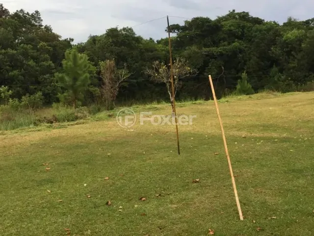 Imagem 4: Fazenda / Sítio / Chácara À Venda Estrada Lomba do Vadeco, Morada Gaúcha - Gravataí