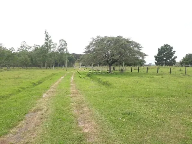 Imagem 3: Excelente Chácara com Casa