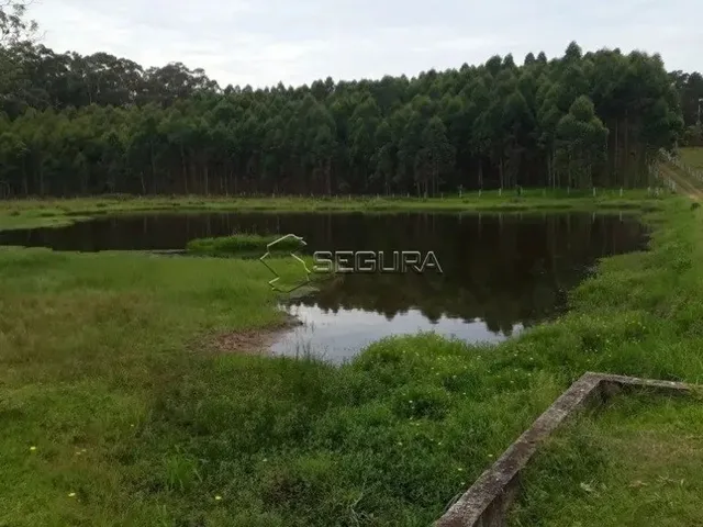 Imagem 2: Excelente Chácara com Casa