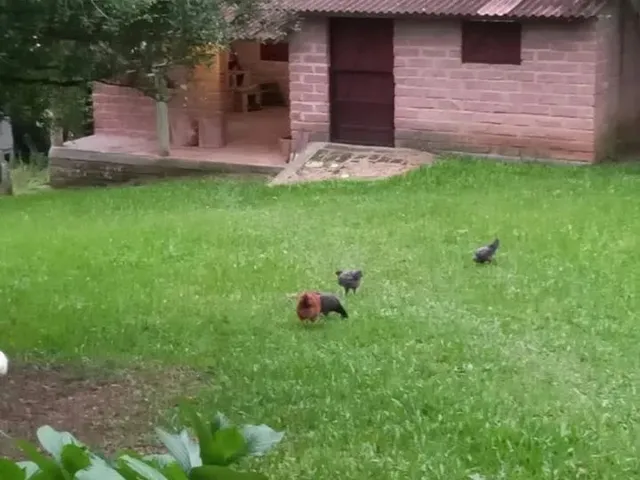 Imagem 5: Sítio em Fiuza. Churrasqueira, Ar-condicionado, Imóvel novoeÁrea...