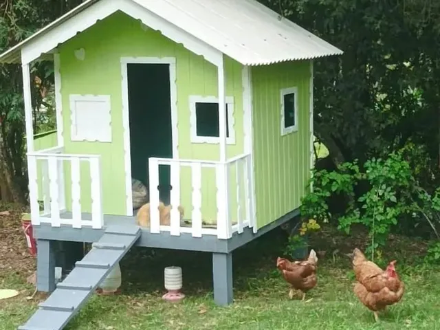 Imagem 11: Sítio em Fiuza. Churrasqueira, Ar-condicionado, Imóvel novoeÁrea...