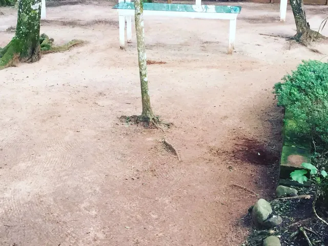 Imagem 14: Belíssimo Sítio para Locação ?. 3 Mil