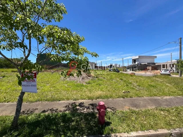 Imagem: Terreno no Paradis