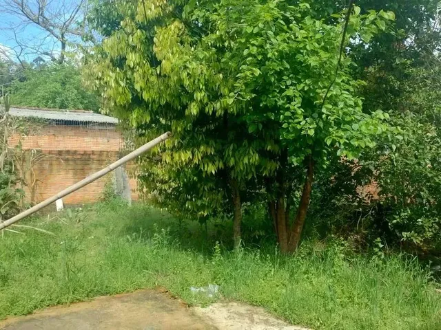 Imagem 14: Terreno com Casa Não Averbada na Liberdade