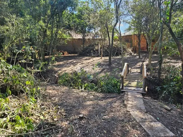 Imagem: Grande Área no Bairro Olaria