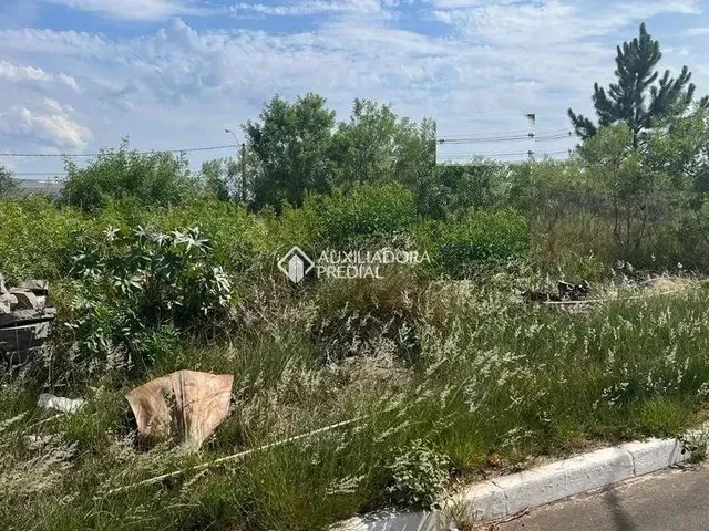 Imagem 3: Terreno no Bairro Moinhos de Vento