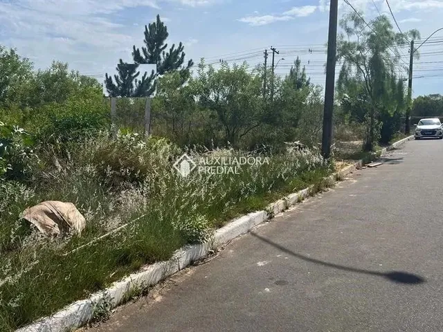 Imagem 5: Terreno no Bairro Moinhos de Vento
