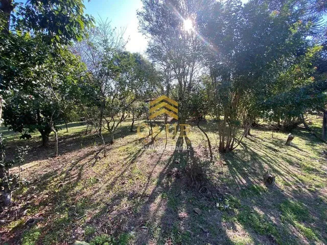 Imagem 14: Imóvel para Venda com 910 Metros Quadrados com 3 Quartos em Águas Claras - Viamão - Rs