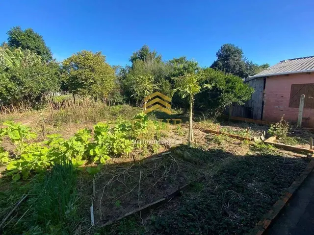 Imagem 10: Imóvel para Venda Possui 502 Metros Quadrados com 2 Quartos em Águas Claras - Viamão