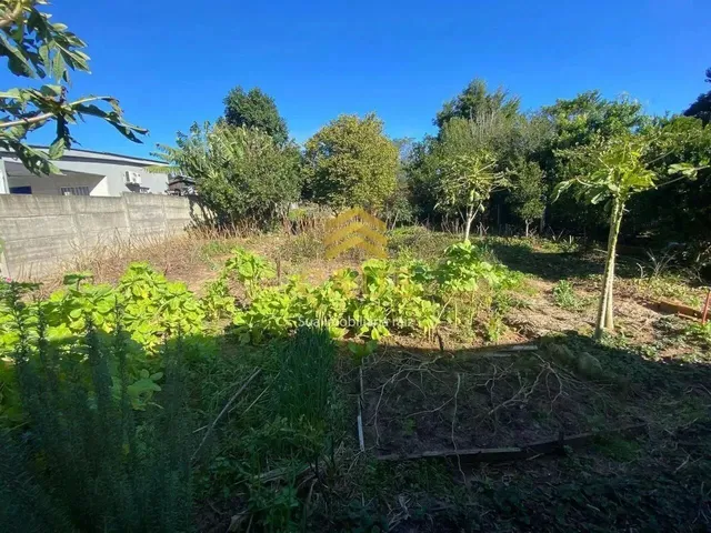 Imagem 11: Imóvel para Venda Possui 502 Metros Quadrados com 2 Quartos em Águas Claras - Viamão