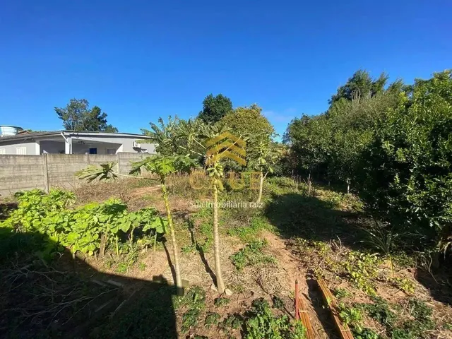 Imagem 2: Imóvel para Venda Possui 502 Metros Quadrados com 2 Quartos em Águas Claras - Viamão