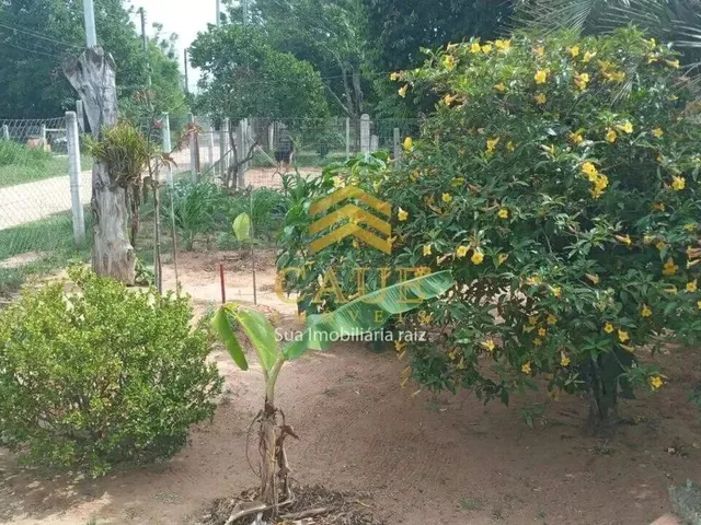 Imagem 9: Imóvel para Venda Possui 492 Metros Quadrados com 2 Quartos em Águas Claras - Viamão