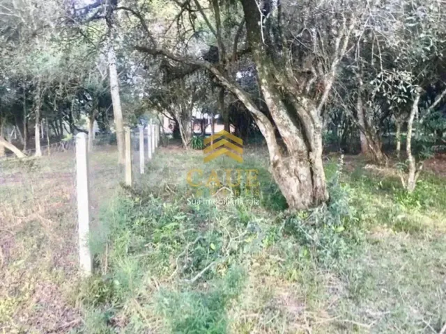 Imagem: Imóvel para Venda Tem 400 Metros Quadrados