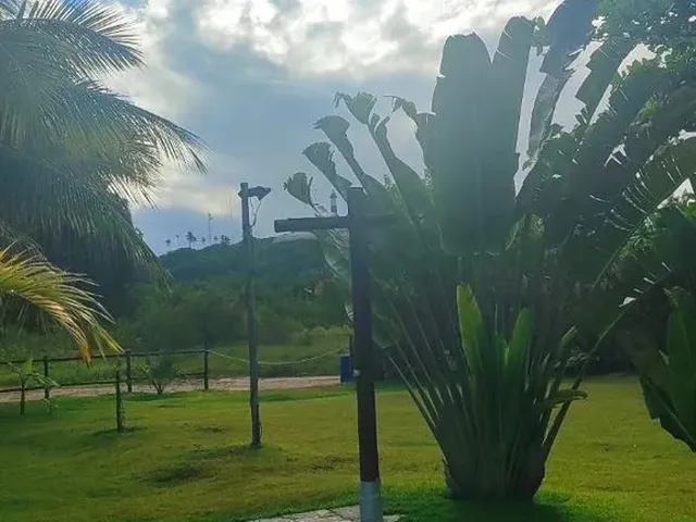 Imagem 6: Réveillon Japaratinga Casa a 100 Metros do Mar