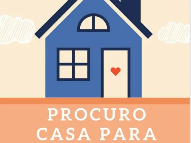 Imagem: Procura-Se Uma Casa