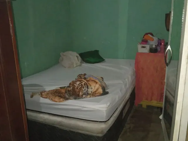 Imagem 13: Vendo Essa Casa Localizada no Benedito Bentes 2