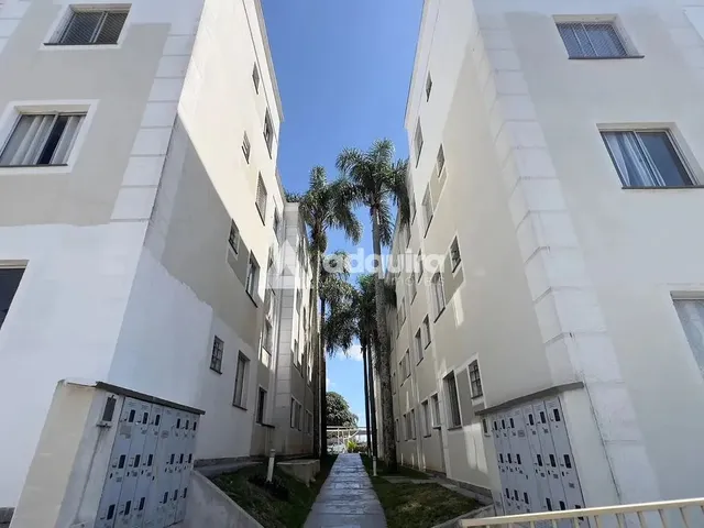 Imagem: Apartamento Padrão para Locação, Oficinas