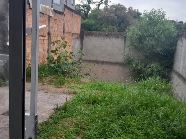 Imagem 12: Alugo Casa Jardim Ibirapuera