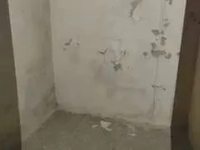 Imagem 4: Casa para Alugar Centro