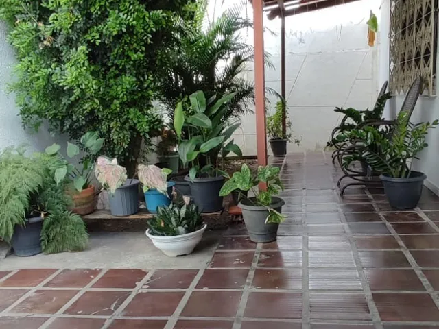 Imagem 3: 0 Casa com 3 dormitórios