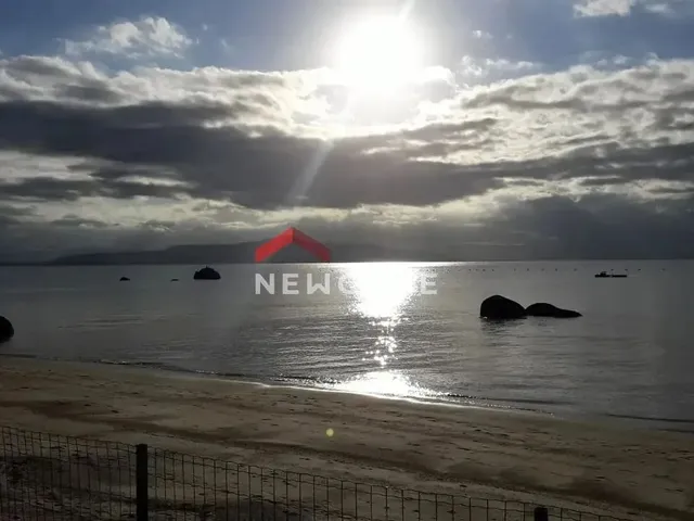 Imagem 14: Casa em Estrada Haroldo Soares Glavan - Cacupé - Florianópolis/Sc