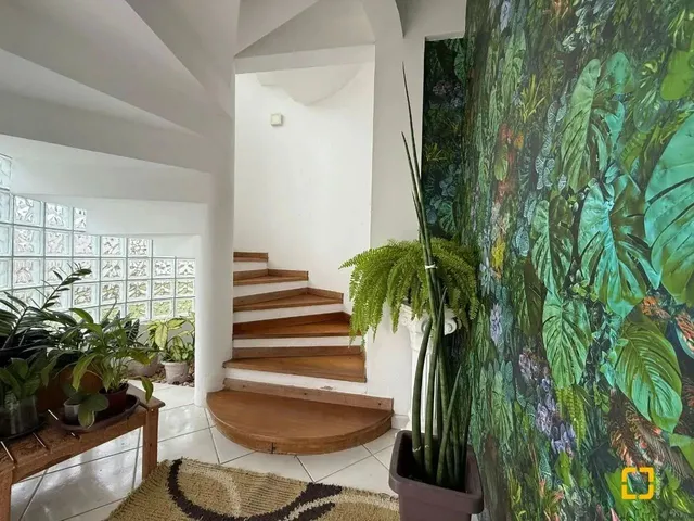 Imagem: Casa em Ingleses