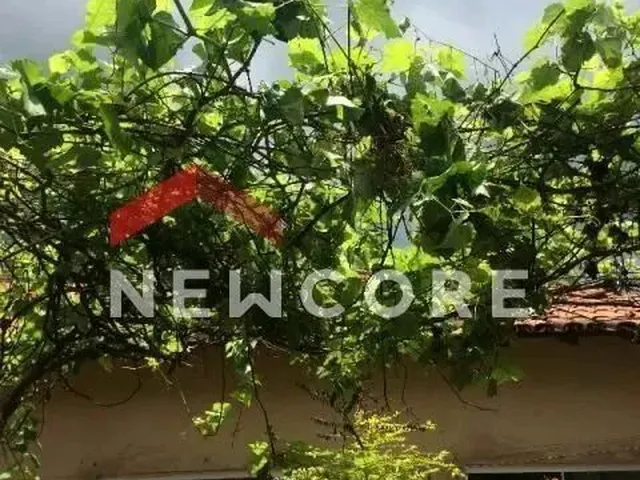 Imagem 13: Casa em Rua da Lambada - Guarani - Uberlândia/Mg