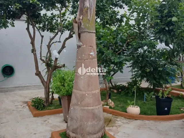 Imagem: Casa Disponível para Venda no Bairro Cidade