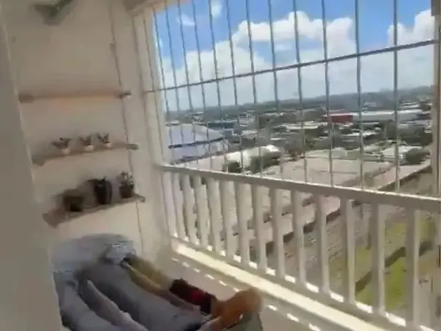 Imagem 15: Apartamento de 2 Quartos em Imbiribeira