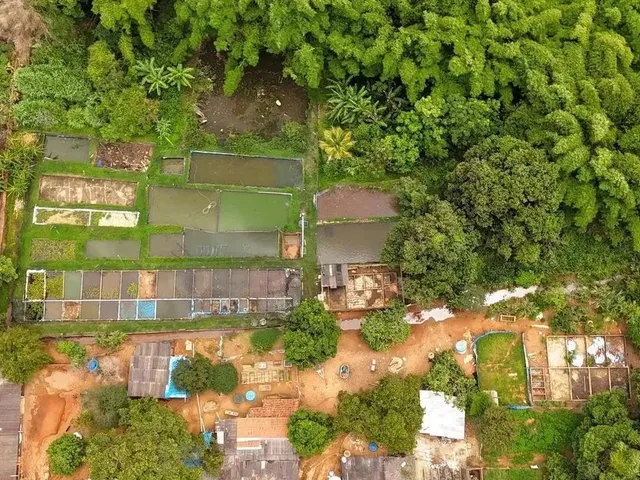 Imagem: Chácara À Venda a 16Km do Centro de Goiânia