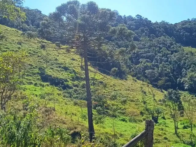 Imagem: Área Aprox. 40.000 M2 em Vargem Alta, Nova