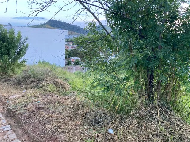 Imagem 4: Terreno Itaperuna - Estrada do Bananal