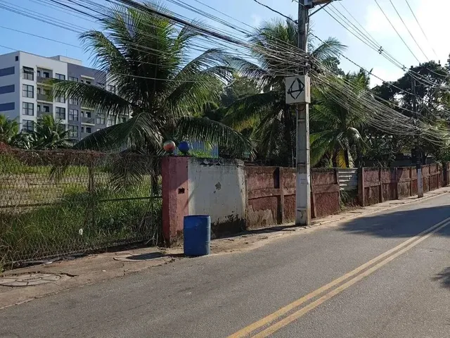 Imagem: Novo Cavaleiro - Excelente Terreno C/ 4.000