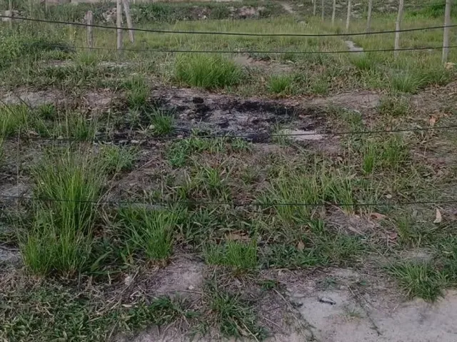 Imagem: O terreno possui 90m² de Área e está localizado em