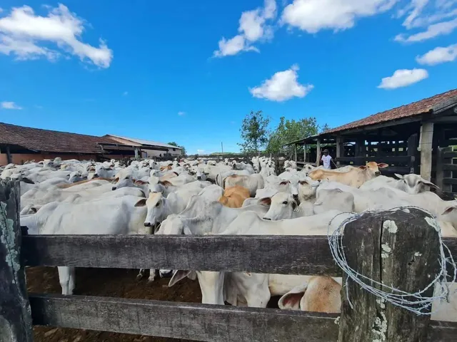 Imagem: Imóvel para Venda Tem 1404000 Metros Quadrados