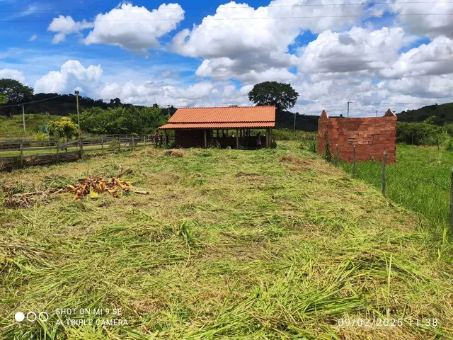 Imagem: Caraca a Venda