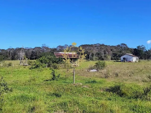 Imagem: A fazenda possui 5m² de Área, Imóvel novo e está