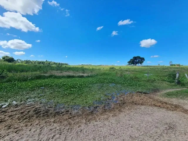 Imagem 2: Fazenda em Araruama com 52 Alqueires - São Vicente de Paula -...
