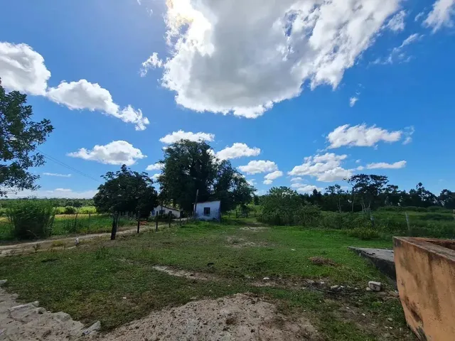Imagem 10: Fazenda em Araruama com 52 Alqueires - São Vicente de Paula -...