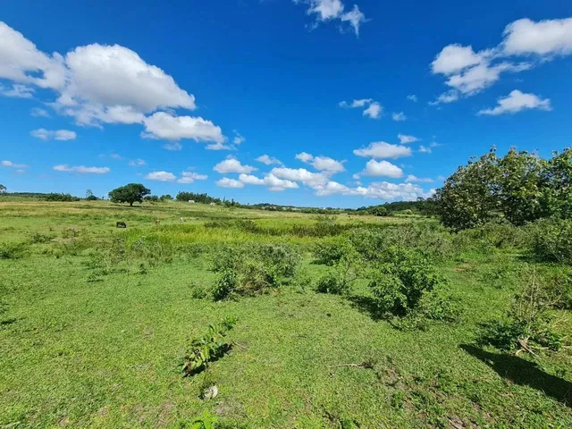 Imagem 3: Fazenda em Araruama com 52 Alqueires - São Vicente de Paula -...
