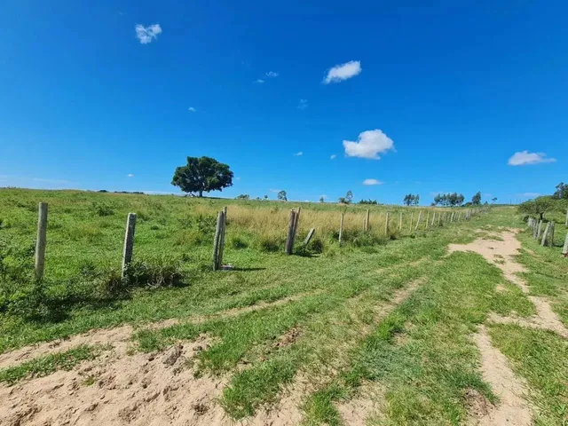 Imagem 13: Fazenda em Araruama com 52 Alqueires - São Vicente de Paula -...