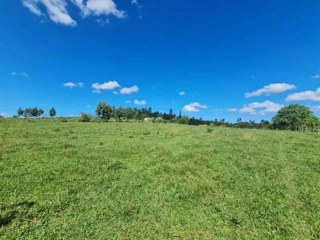 Imagem 8: Fazenda em Araruama com 52 Alqueires - São Vicente de Paula -...